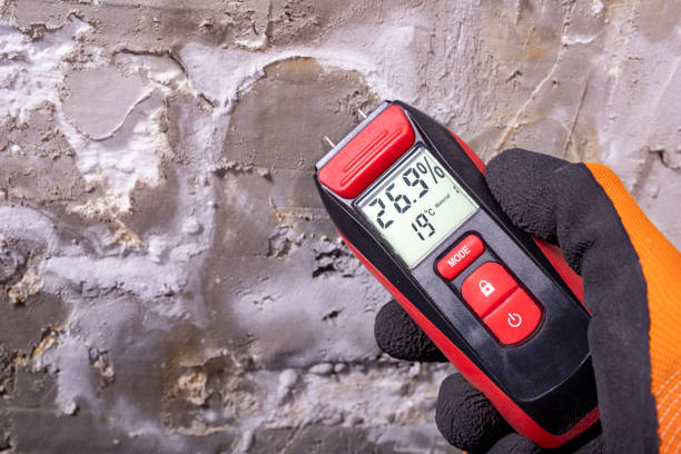 Best Mold Remediation for Schools in Romulus, MI