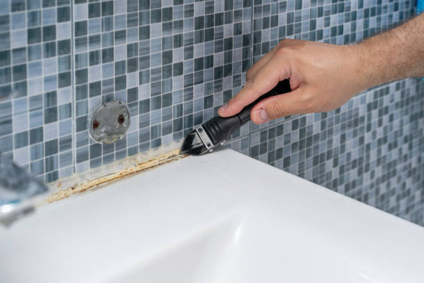 Best Insurance-Related Mold Remediation in Romulus, MI